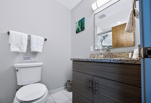 A modern bathroom with a toilet, a sink, and a vanity. - Downtown Historic Warehouse District Lofts 301 (Cleveland)
