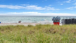 A beach with a grassy foreground, a clear sky, and a calm sea. - Hollywood Beach Glam (Hollywood)