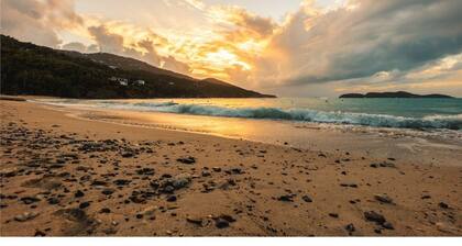 A Peace in Paradise!