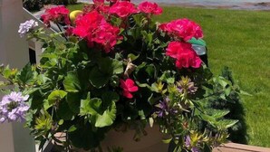A balcony with a flower pot, a view of a lake, and a pier with boats. - Glen Den Amazing Views of Sleeping Bear Dunes, Luxury Lakefront Home Glen Arbor (Empire)