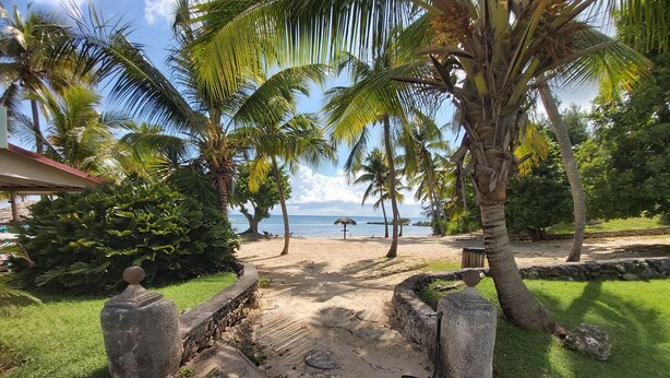A pathway leading to a beach with palm trees and a view of the ocean. - big unit in the most beautiful residence in Guadeloupe (saint-françois)