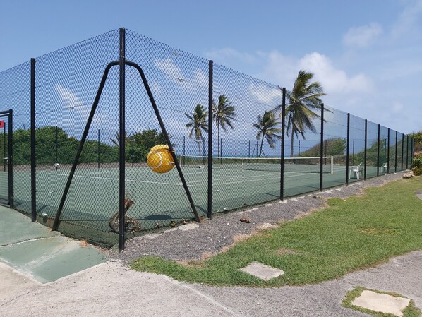 Cancha de tenis rodeada por una valla, con red, palmeras y cielo despejado.