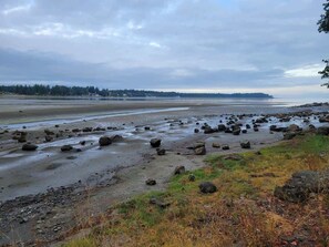 A coastal landscape with a rocky shoreline, a distant tree line, and a cloudy sky.