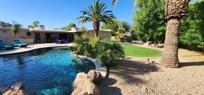 A swimming pool with clear water, surrounded by palm trees and a well-maintained lawn.