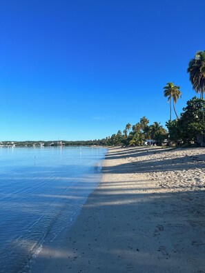 A beach with clear blue water, sandy shore, and palm trees.