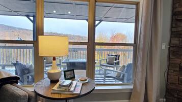 TV, fireplace, table football, books