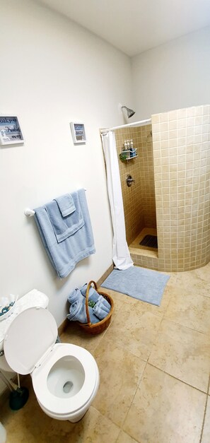 Dusche, Haartrockner, Handtücher, Seife