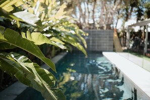 Ein Schwimmbecken mit einer gefliesten Kante, umgeben von üppigem Grün.