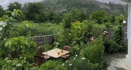 Green Guest House Altit Hunza