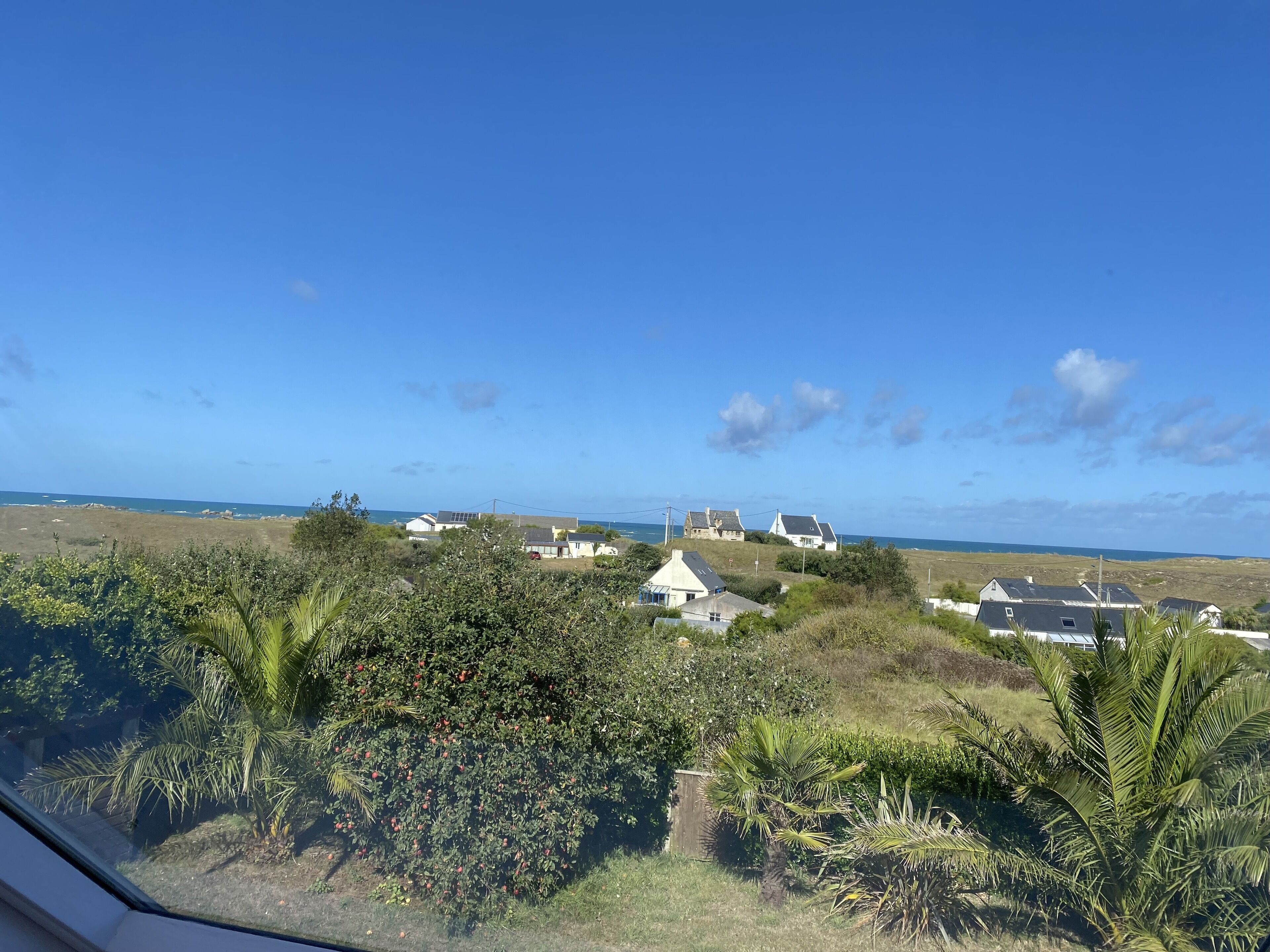 A coastal landscape with houses, palm trees, and a clear blue sky.