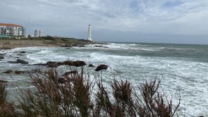 A coastal view with a lighthouse, rocky shoreline, and buildings in the background.