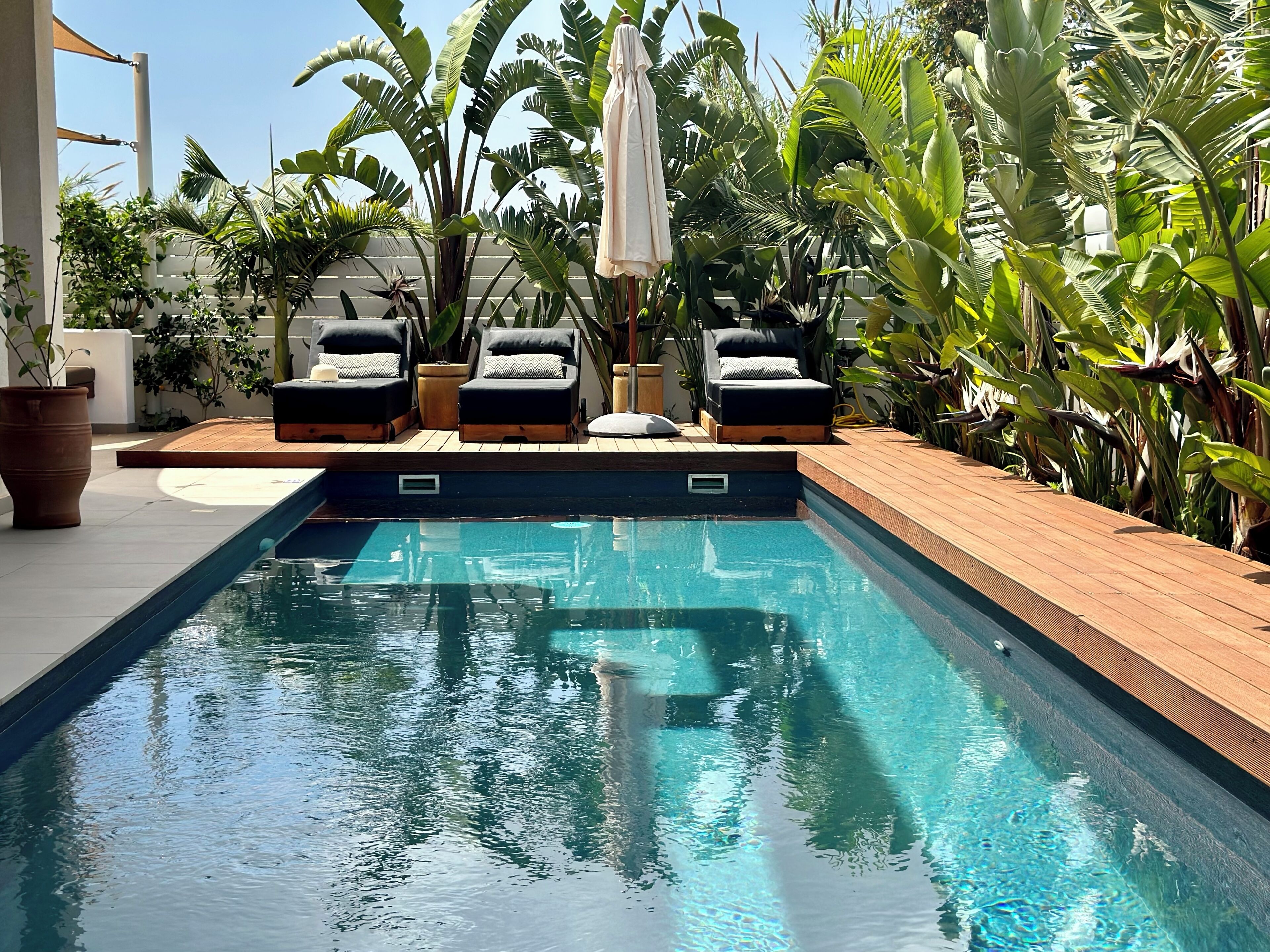 Une piscine avec des chaises longues et des plantes en pot.