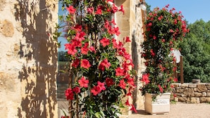 A stone building with a column and a planter with red flowers.