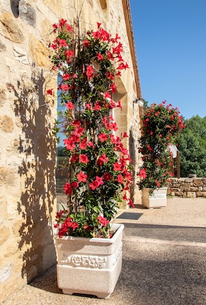 Un edificio de piedra con una columna y una maceta con flores rojas.
