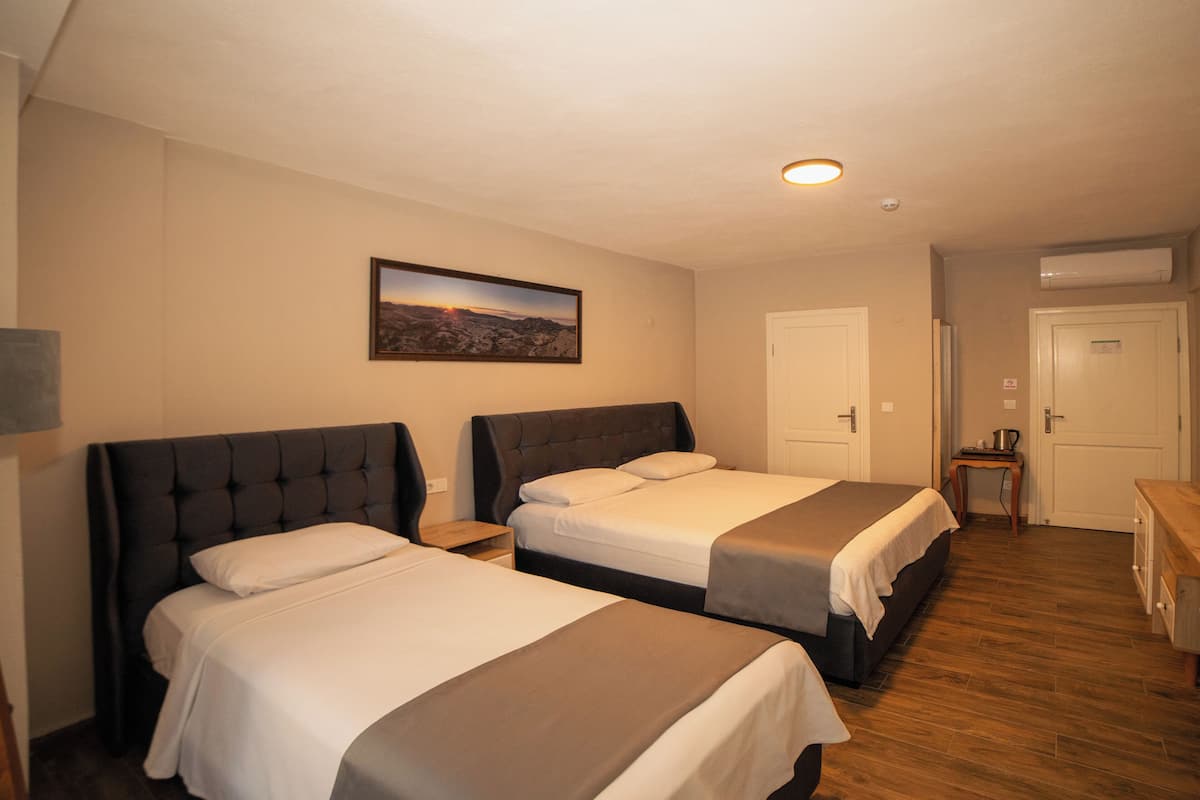 A hotel room with two beds, a painting on the wall, and an air conditioning unit.