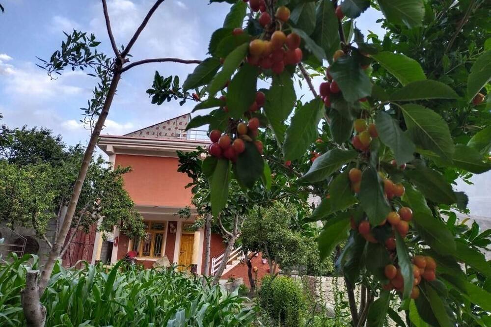 MasakAli Family Guest House