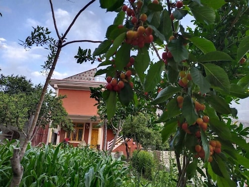 MasakAli Family Guest House