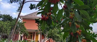 MasakAli Family Guest House