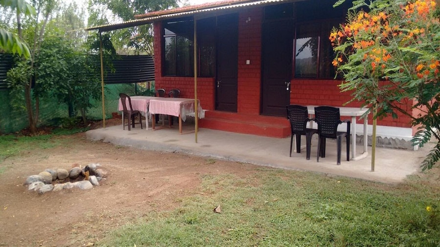 The Big Cat Den Resort