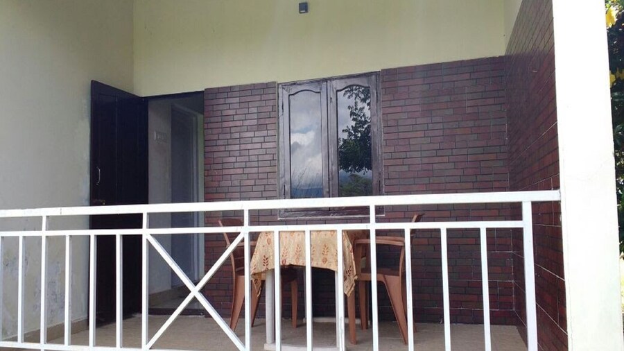 The Big Cat Den Resort