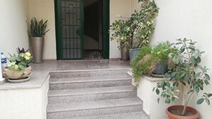 A set of stone steps leading to a green door, surrounded by various potted plants.