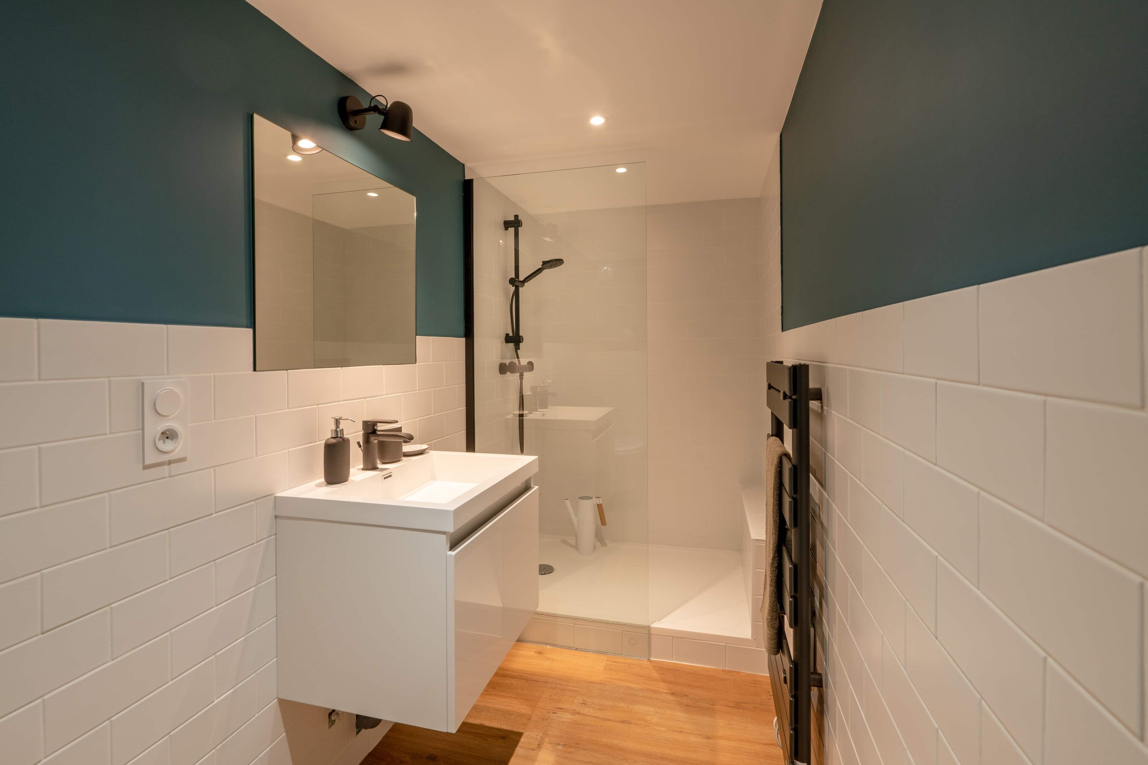 Shower, hair dryer, soap, toilet paper