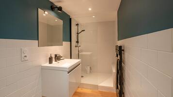 Shower, hair dryer, soap, toilet paper