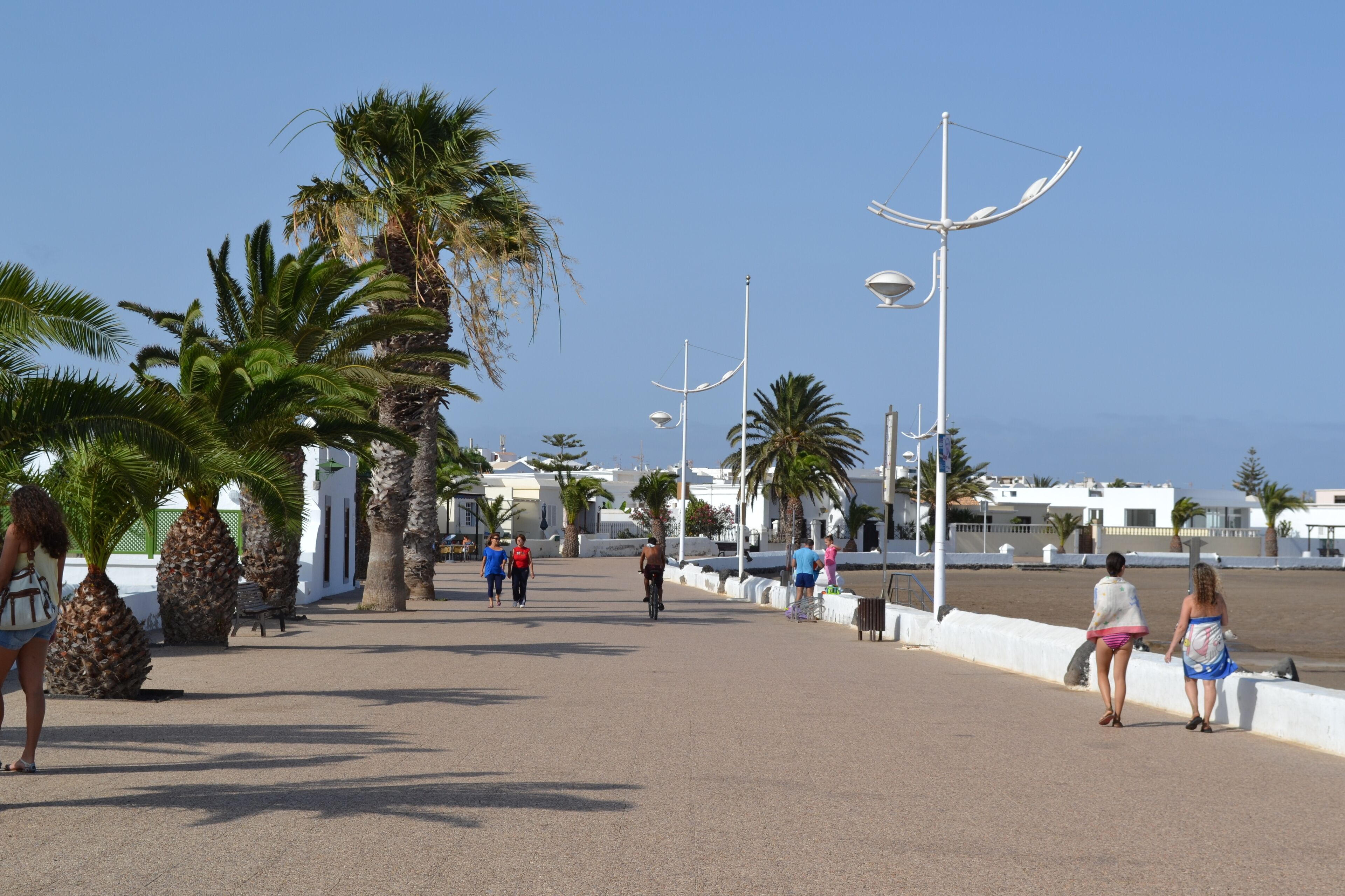 Un paseo marítimo con palmeras, farolas y gente caminando.