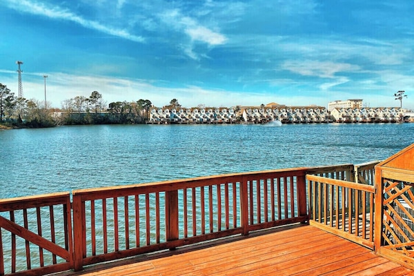 Terrain de l’hébergement