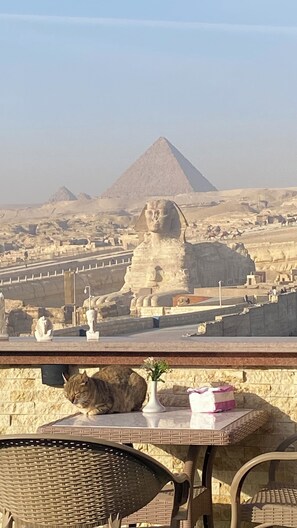 View from property - Seven Pyramids Inn (Giza)