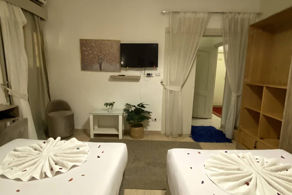 A hotel room with two beds, a TV, a small table with a plant, and a wooden shelf.