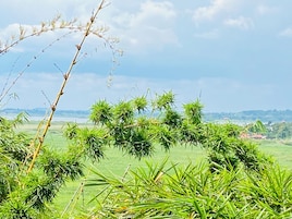 Un paisaje exuberante y verde con cielo despejado.