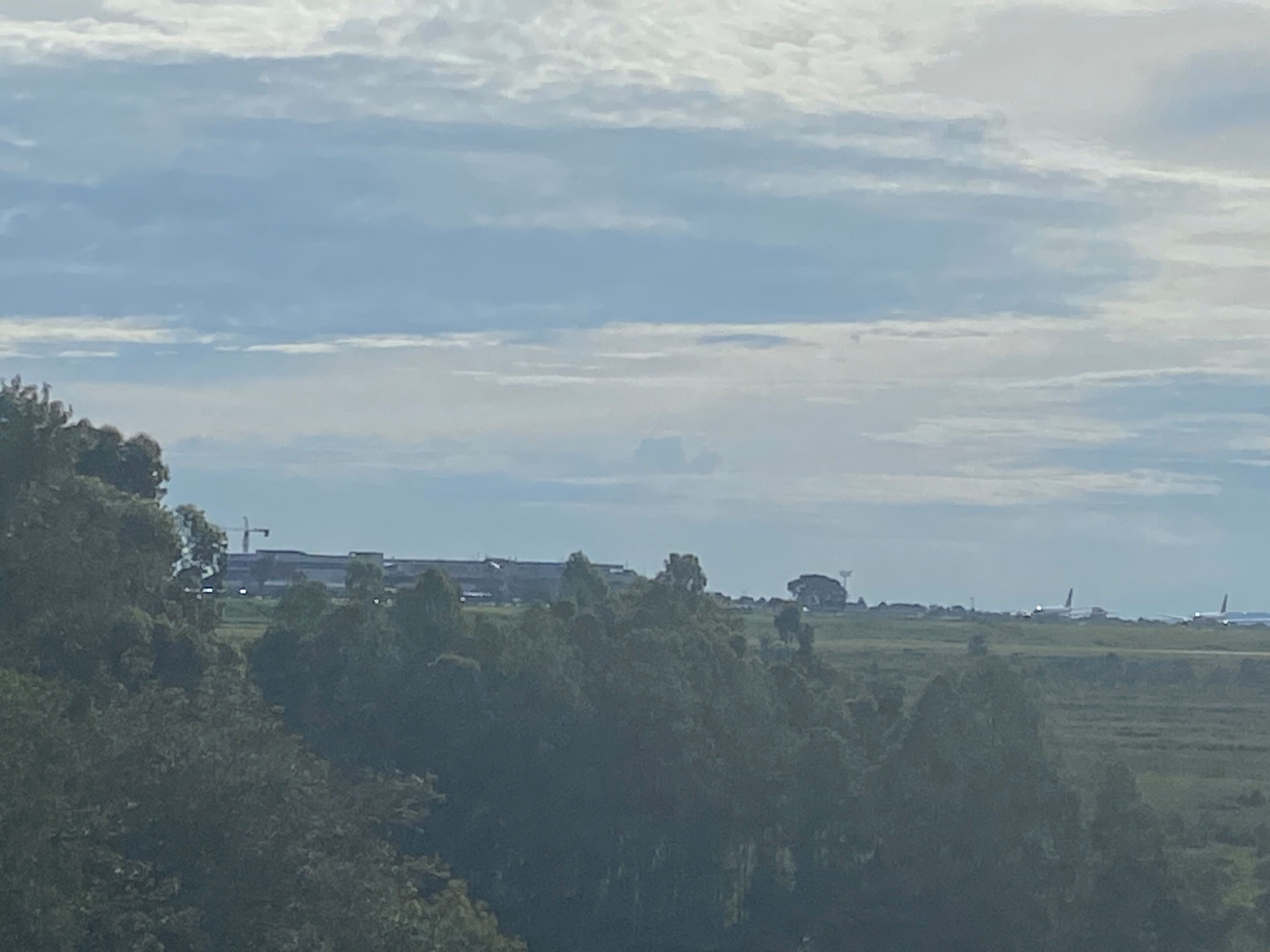 Un paisaje con árboles y un edificio distante.