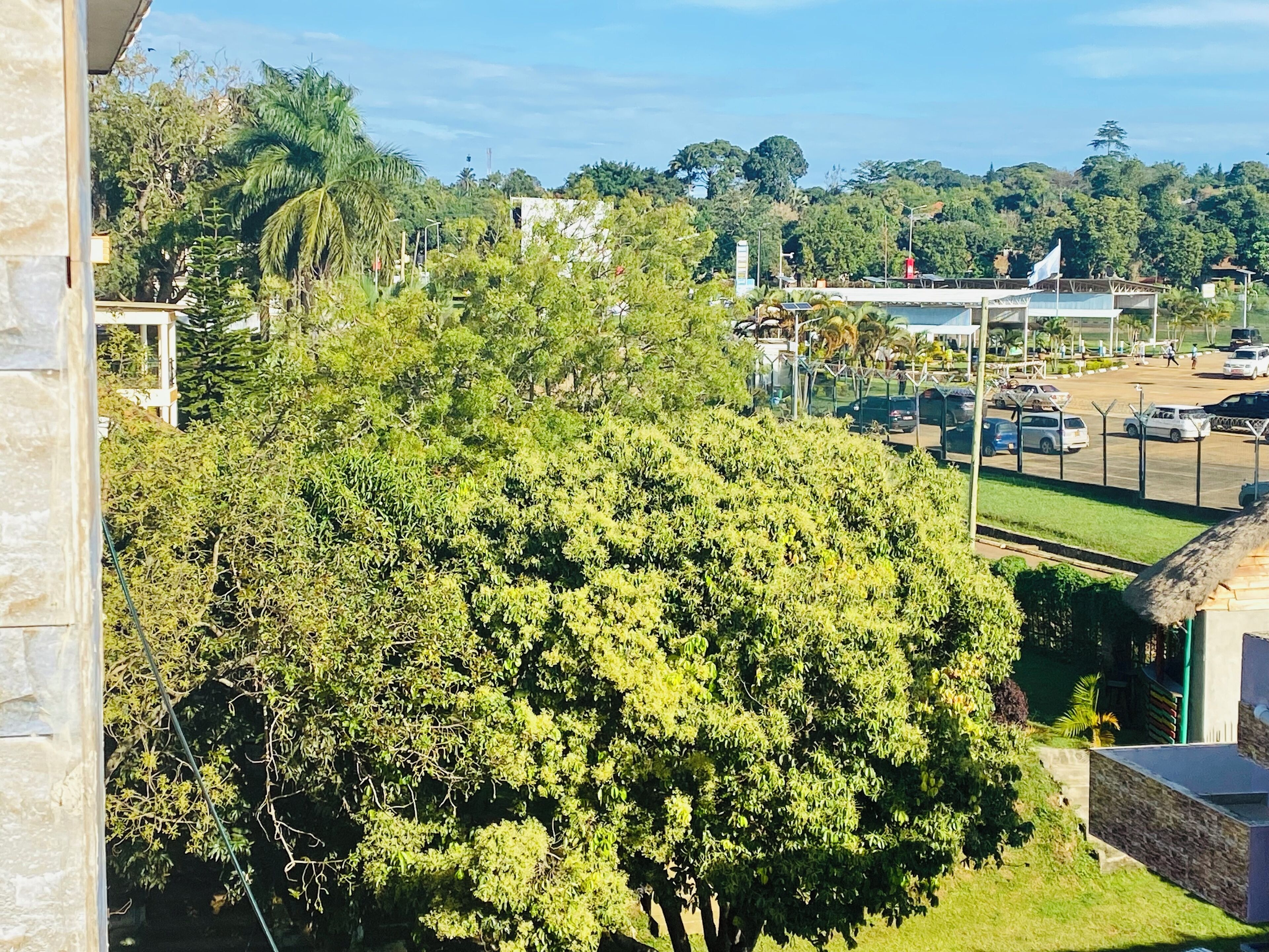 Vista de um estacionamento com vários carros, cercado por vegetação exuberante e árvores.