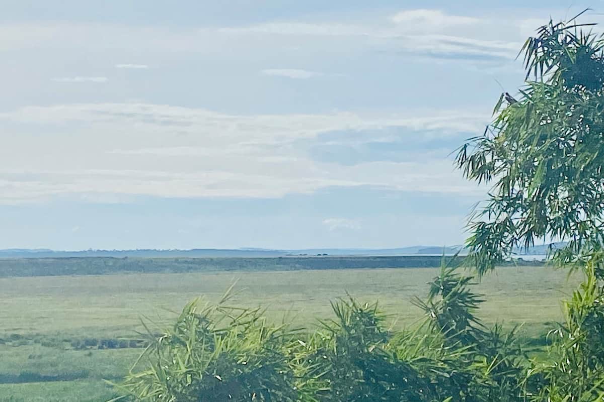 Eenvoudige kamer | Terras