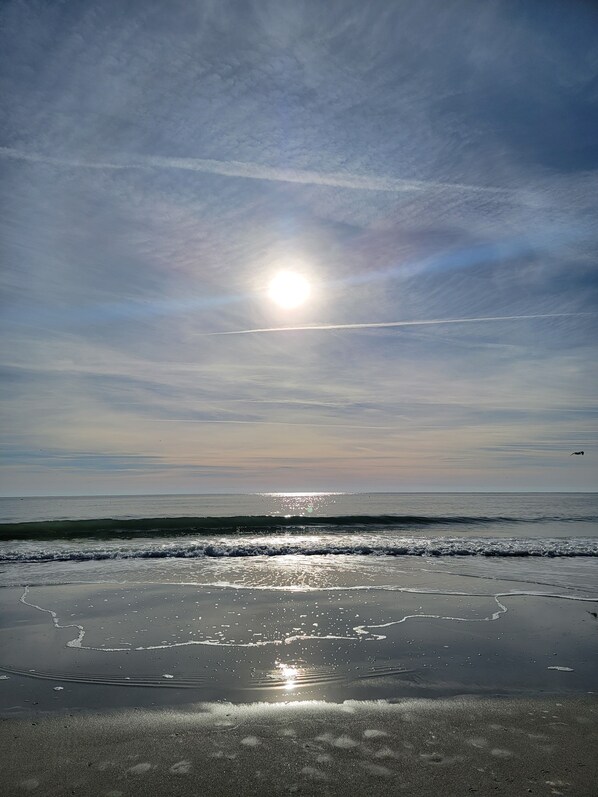 Playa en los alrededores, camastros y toallas de playa 