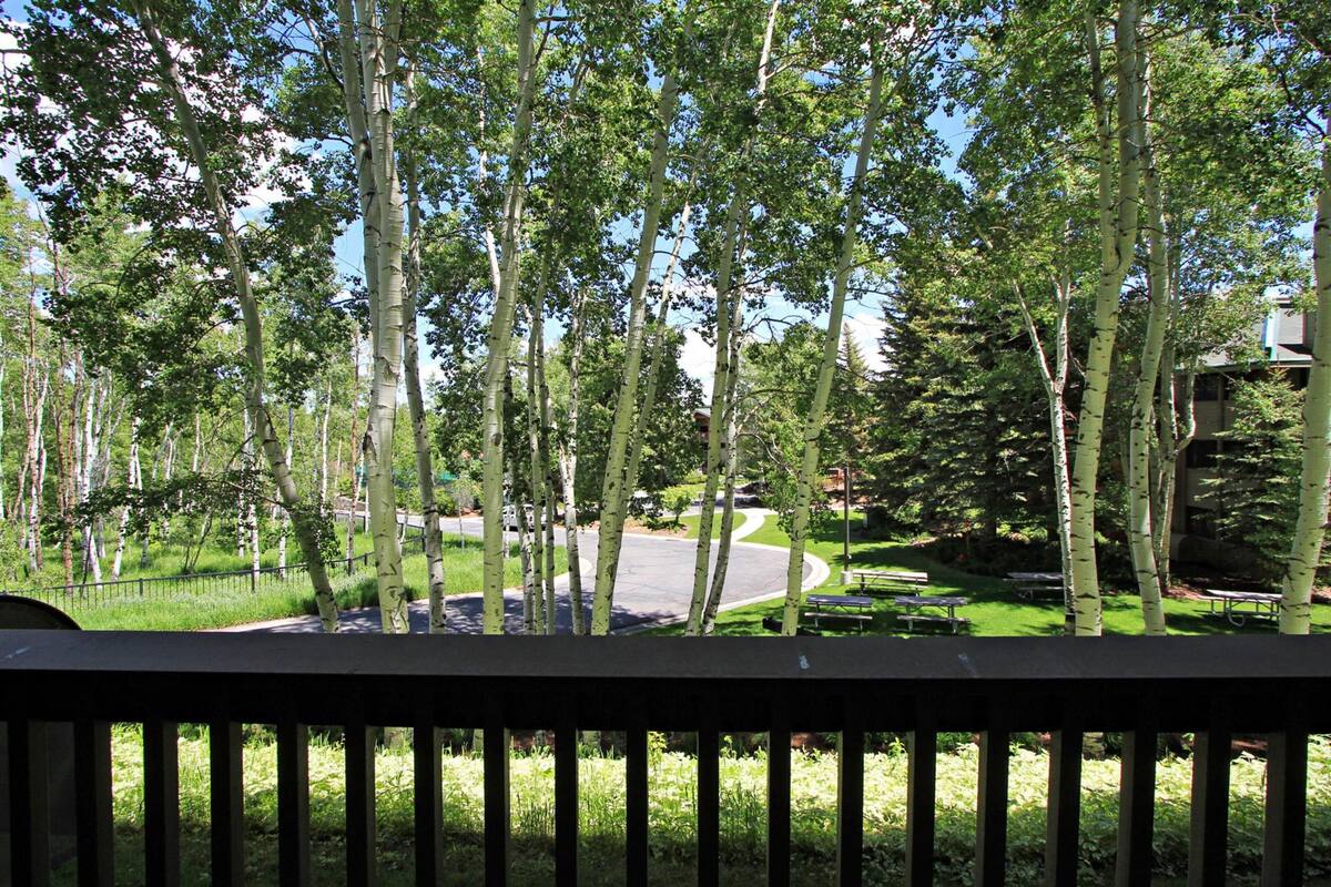 Condo, 2 Bedrooms, Mountain View | Balcony view