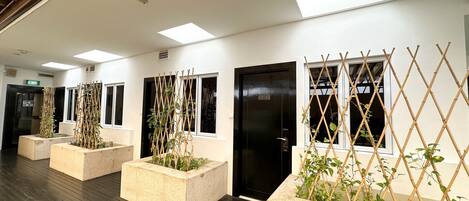 Terrace Queen Room | Terrace/patio