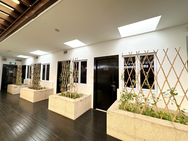 Terrace Queen Room | Terraza o patio