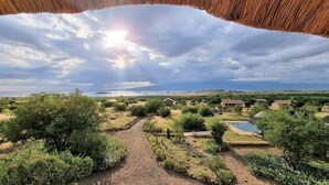 Ein Resort mit einem Pool, einem Weg zum Pool und Häusern im Hintergrund.