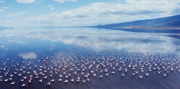 Detalle del exterior