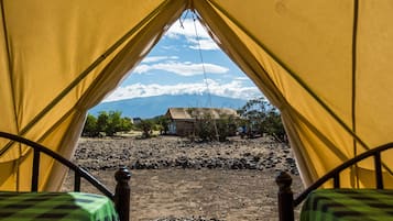 Basic Tent