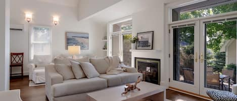 TV connectée, cheminée, lecteur de DVD, livres