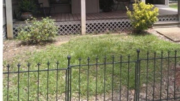Un área de estar al aire libre con techo, sillas y mesas, un pequeño jardín con un arbusto amarillo y una cerca de metal negro.