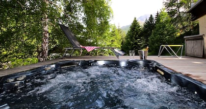 SKI IN SKI OUT CHALET SLEEPS 14 JACUZZI MOUNTAIN VIEW VARS LES CLAUX