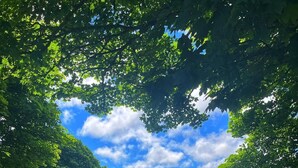 En träport i ett frodigt, grönt landskap med en klar himmel.