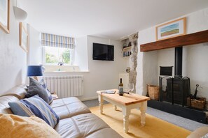 TV, fireplace, books