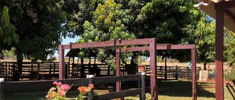 Terrein van de accommodatie