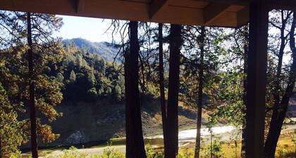 Waterfront Cabin on Shasta Lake