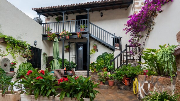 Un patio con plantas en macetas, una escalera y un balcón lleno de flores.